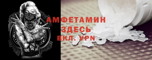 индика Нязепетровск