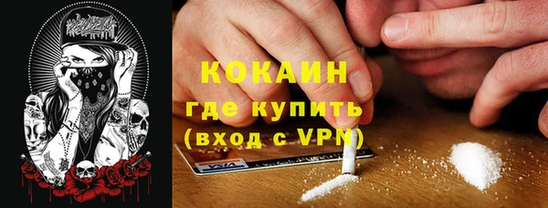 прущие крисы Няндома