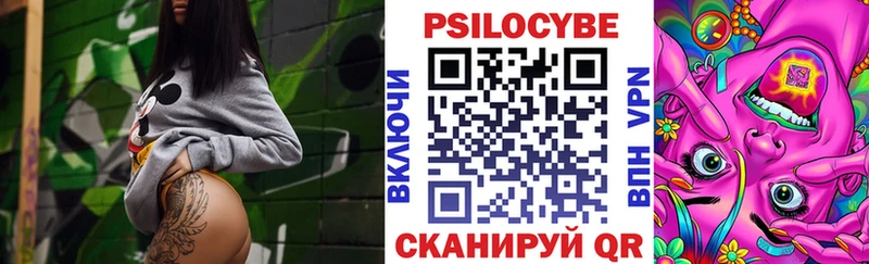 Галлюциногенные грибы MAGIC MUSHROOMS  blacksprut как зайти  Кашин 